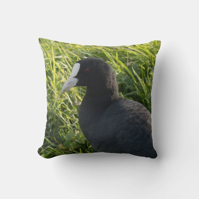 Coot Throw Pillow (Front)