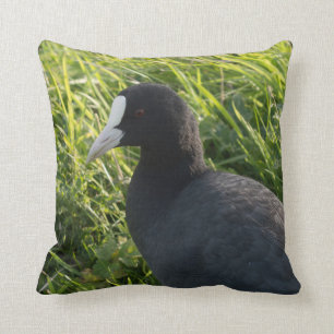 Coot Throw Pillow