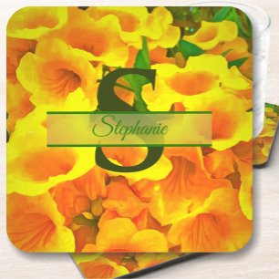 Copa de Oro Coaster