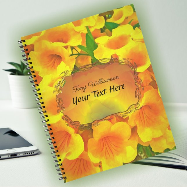 Copa de Oro Notebook (Creator Uploaded)