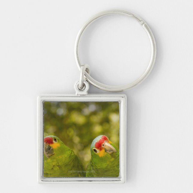 Copan, Honduras Keychain (Front)