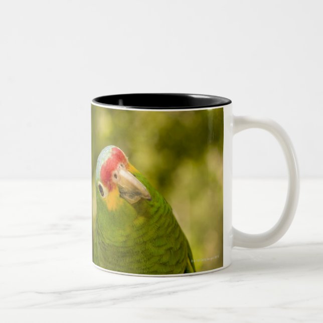 Copan, Honduras Two-Tone Coffee Mug (Right)