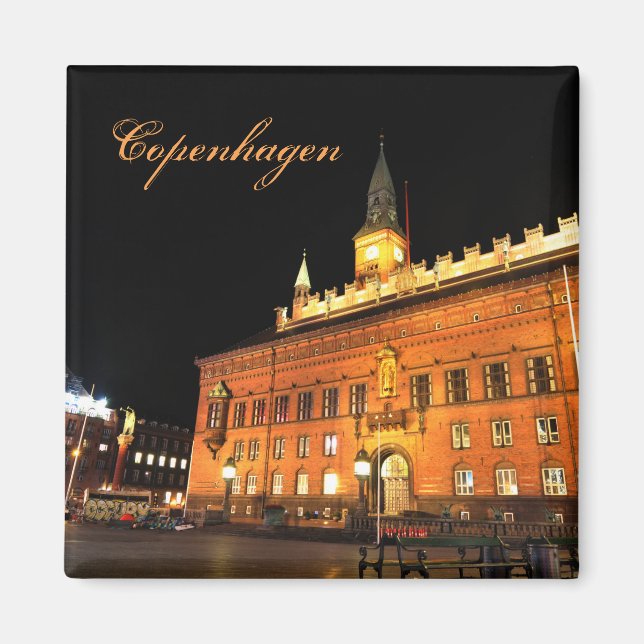 Copenhagen, Denmark at night Magnet (Front)