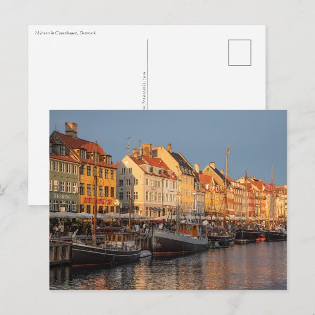 Copenhagen Denmark Postcard (Front/Back)
