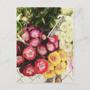 Copenhagen rainbow flowers postcard