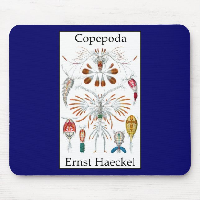 Copepoda by Ernst Haeckel Mouse Pad (Front)