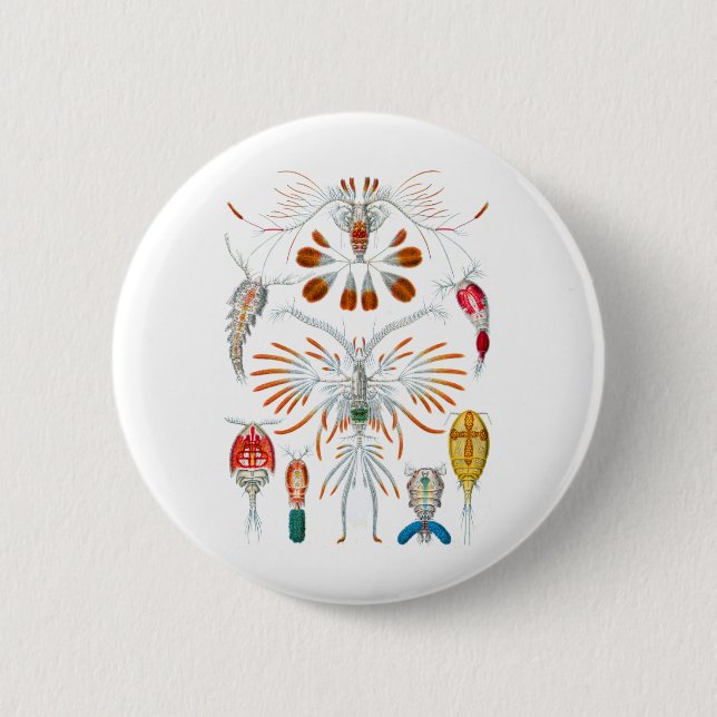 Copepods 2 Inch Round Button (Front)