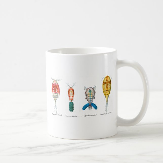 Copepods Coffee Mug (Right)