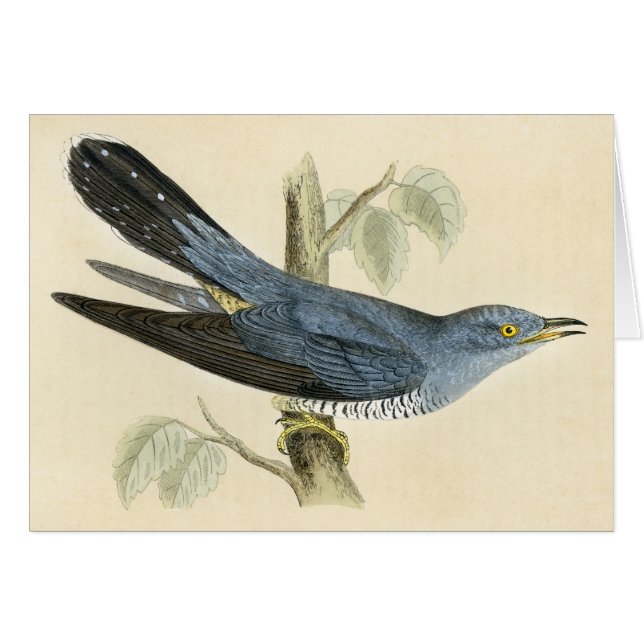 Copie antique d'un coucou commun (Devant horizontal)