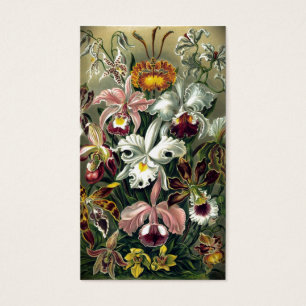 Copie botanique d'orchidée