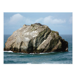 Copie célèbre de photo de roche de visage de Ban