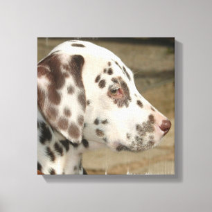 Copie dalmatienne de toile de chiot