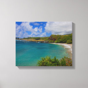 Copie d'art de mur de toile d'Hawaï de plage de