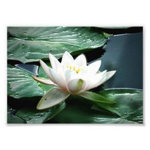 copie de la photo 7x5