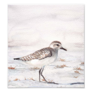 Copie de photo de reproduction d'art d'oiseau de