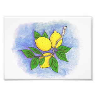 Copie de photo d'illustration de citron