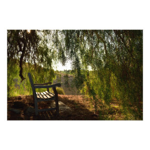Copie de photo du banc en bois [24x20]