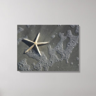 Copie de toile d'étoiles de mer de plage