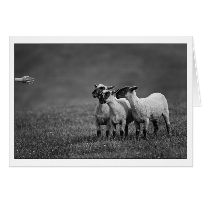 Copie IMG_9504 (Devant horizontal)