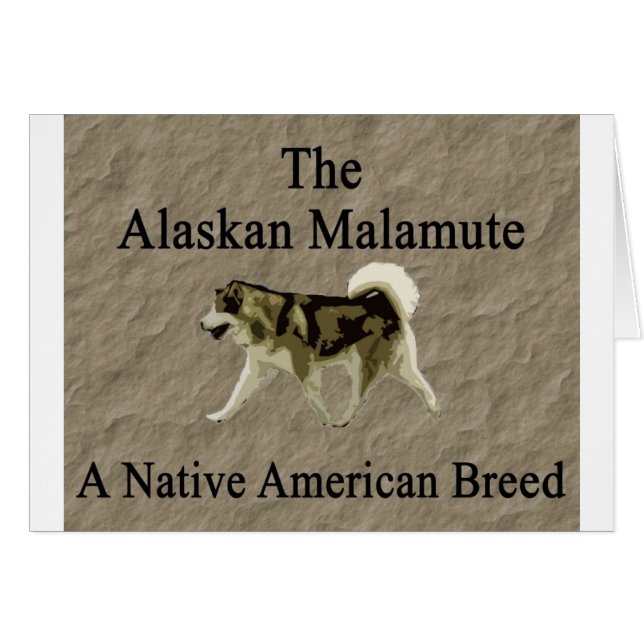 Copie indigène de race de malamute (Devant horizontal)
