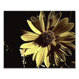Copie jaune modérée de la photo 10x8