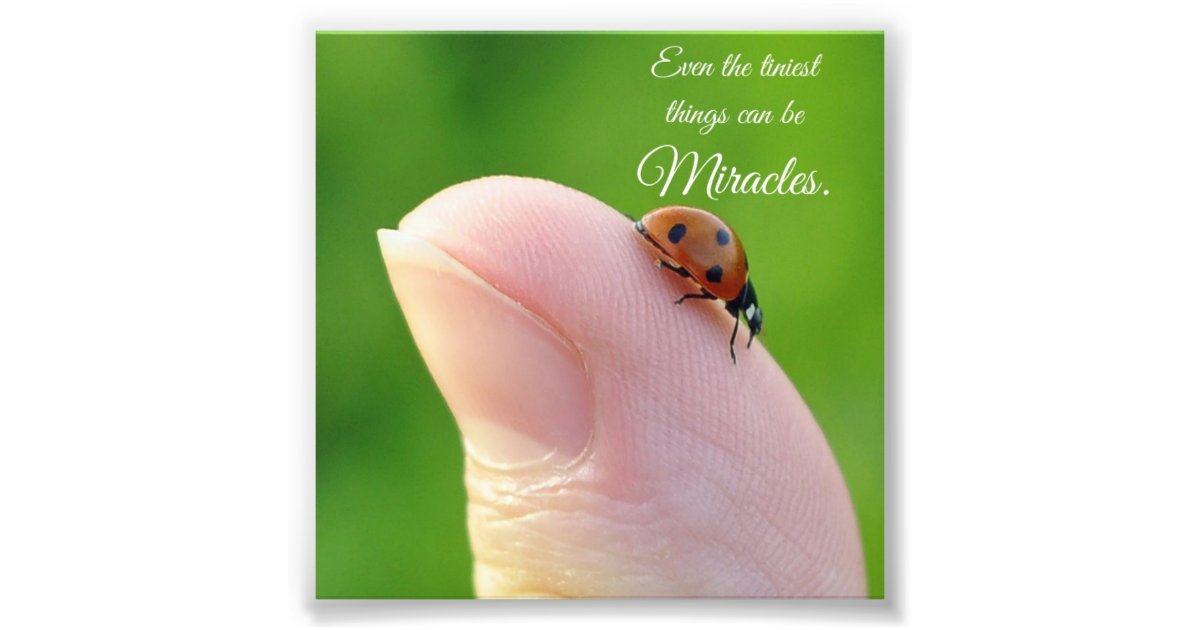 Copie Minuscule De Photo De Carre De Citation De Zazzle Ca