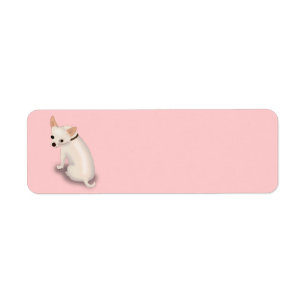 copie pet4