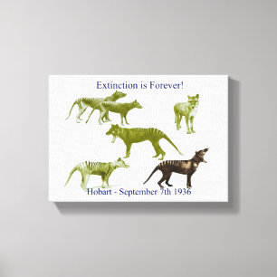 Copie tasmanienne de toile de Thylacine de tigre