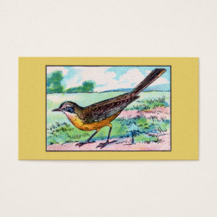 Copie vintage d'oiseau de hochequeue
