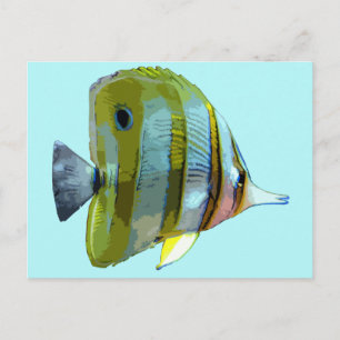 Copper-Banded Butterfly Fish Postcard