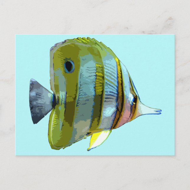 Copper-Banded Butterfly Fish Postcard (Front)