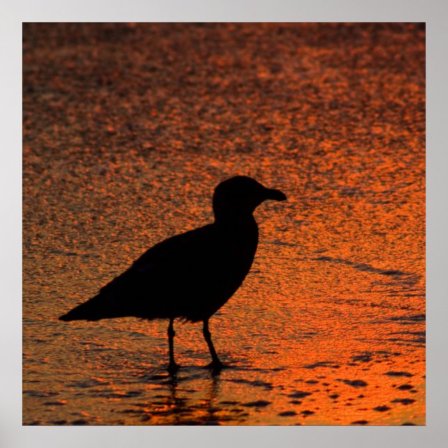 Copper Sunset Poster (Front)