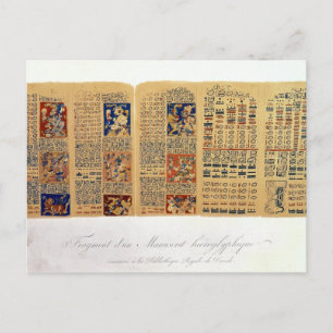 Copy of a fragment of the Dresden Codex Postcard