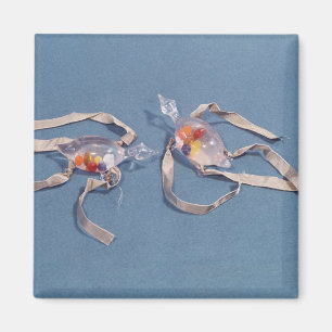 Copy of two medical thermometers magnet