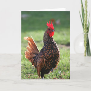 Coq, carte de note vierge