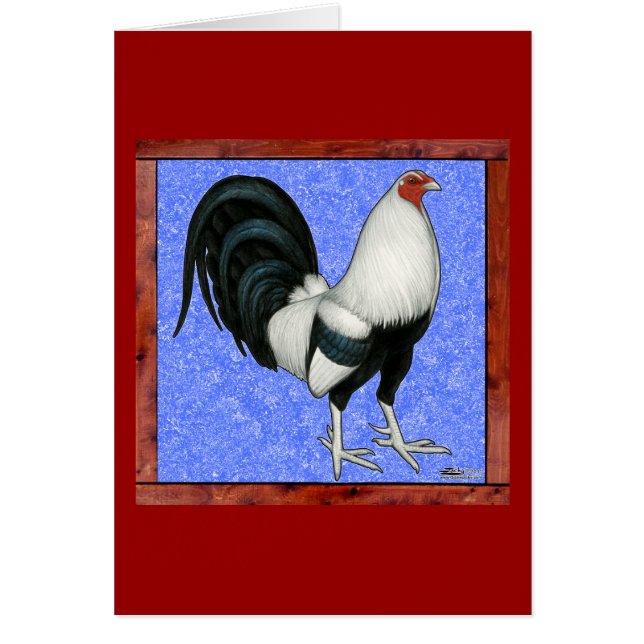 Coq de combat encadré (Devant)