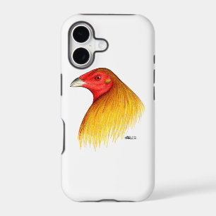 Coq de combat épointé