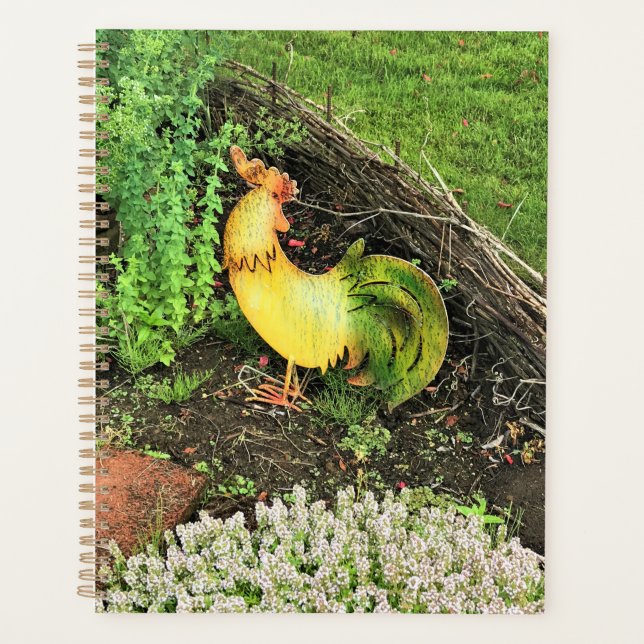 Coq jaune et vert (Devant)