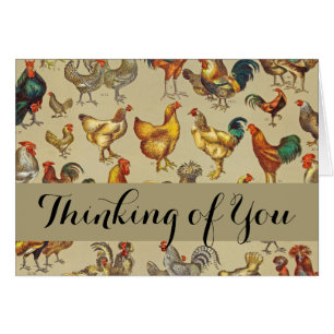 Coq Poulet de la ferme Volaille animale Pays