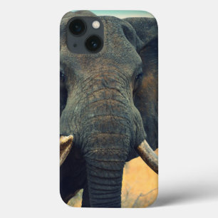 Coque aérien pour iPad