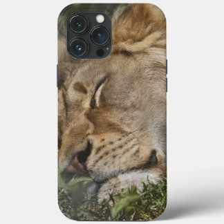 Coque animal-coque iphone d'accouplement