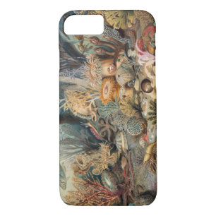 Coque Barely There de Case-Mate pour iPhone 8/7 
