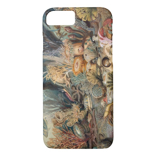 Coque Barely There de Case-Mate pour iPhone 8/7 
 (Dos)