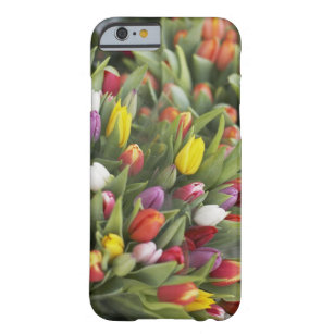 Coque Barely There iPhone 6 Groupes de tulipes colorées