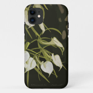 Coque Brassavola Orchid iPhone5