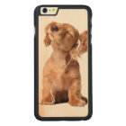 Jeune chiot écoutant la musique sur des écouteurs