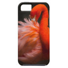 Flamant rose iPhone 5 coque