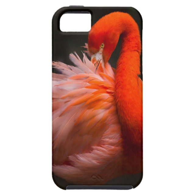 Coque Case-Mate iPhone 5 Flamant rose iPhone 5 coque (Dos)