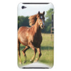 Cas galopant d'iTouch de cheval de châtaigne