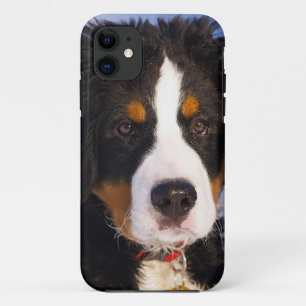 Coque Case-Mate Pour iPhone Bernois Mountain Dog Pup iPhone 5 coque